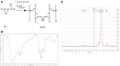 pH-Responsive Cross-Linked Low Molecular Weight Polyethylenimine as an Efficient Gene Vector for Delivery of Plasmid DNA Encoding Anti-VEGF-shRNA for Tumor Treatment